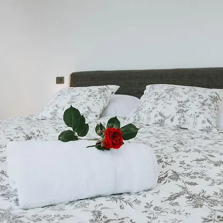 Apartmaji Ursic *