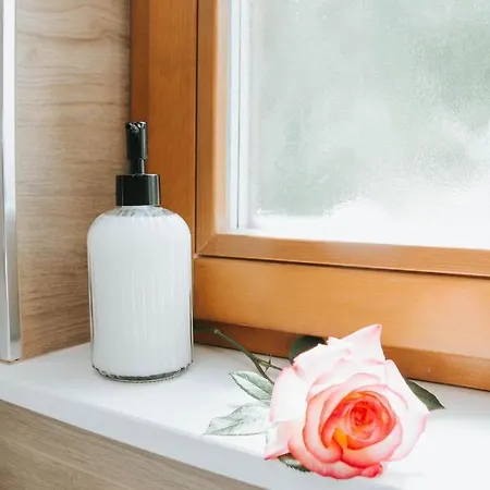 Апартаменты Apartmaji Ursic *